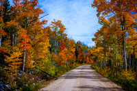 Fall Foliage Road
