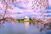 Jefferson Memorial Springtime