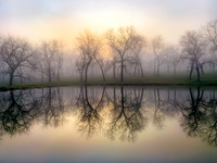 Walnut Grove Sunrise